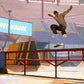 Tony Hawk Pro Skater 1+2 -  Standard Edition-ps5 - Games Corner